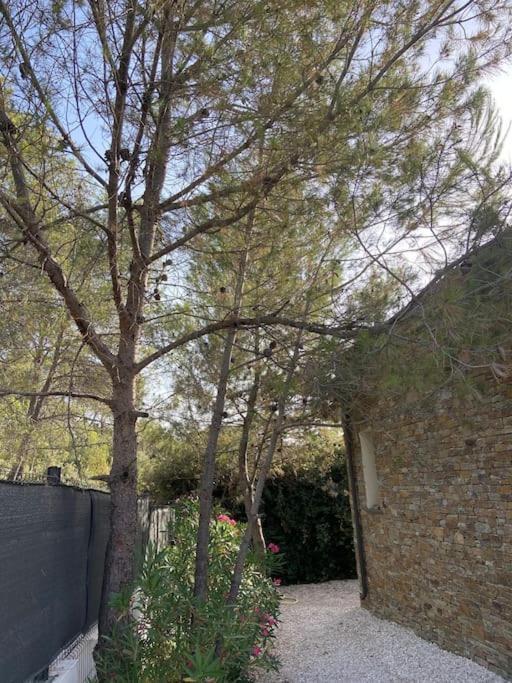 Maison Proche Du Pic Saint Loup Exterior foto